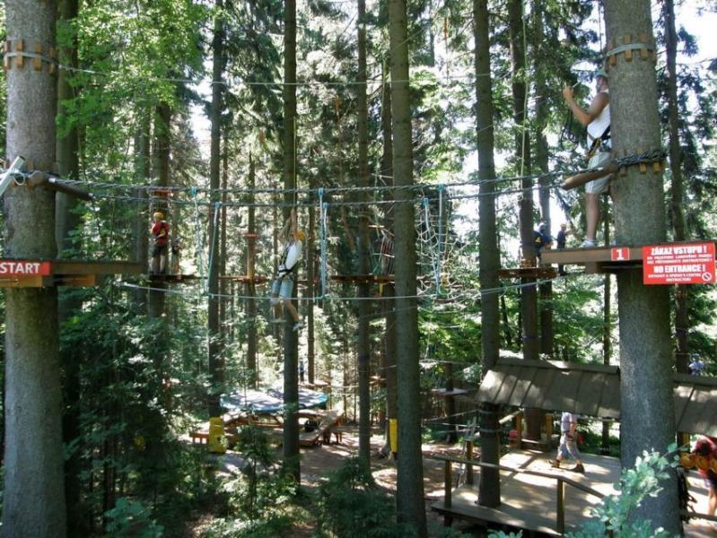 Apartman Ricky V Orlickych Horach Wüstenei 外观 照片