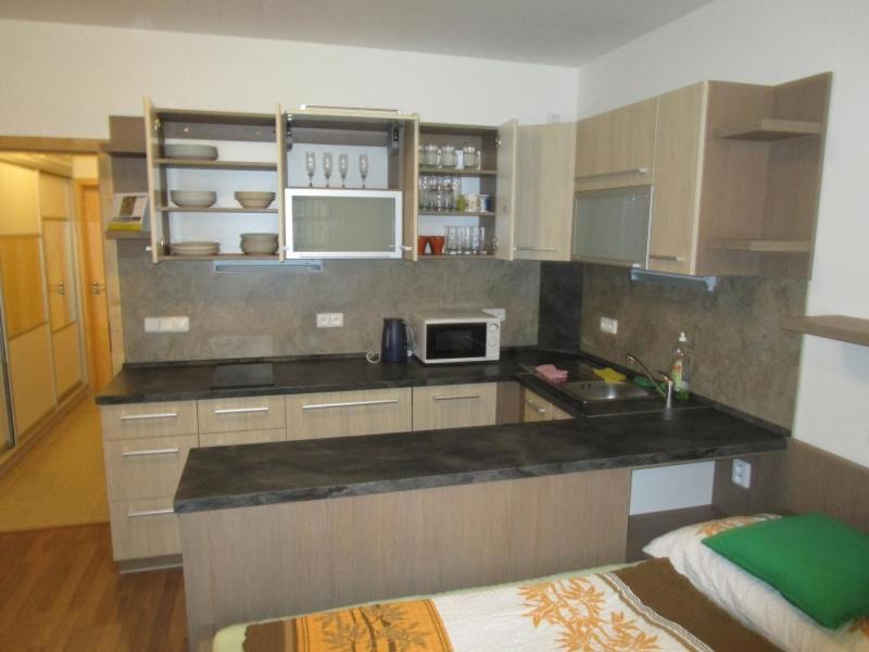 Apartman Ricky V Orlickych Horach Wüstenei 外观 照片