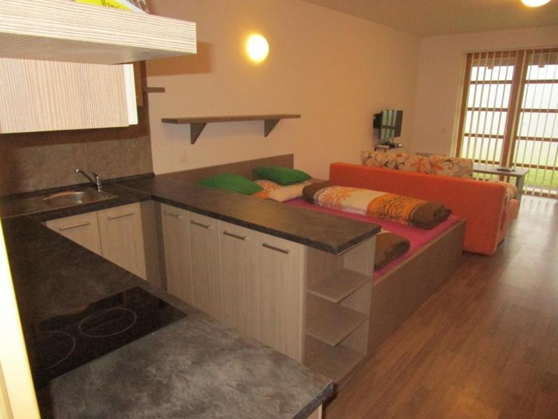 Apartman Ricky V Orlickych Horach Wüstenei 外观 照片